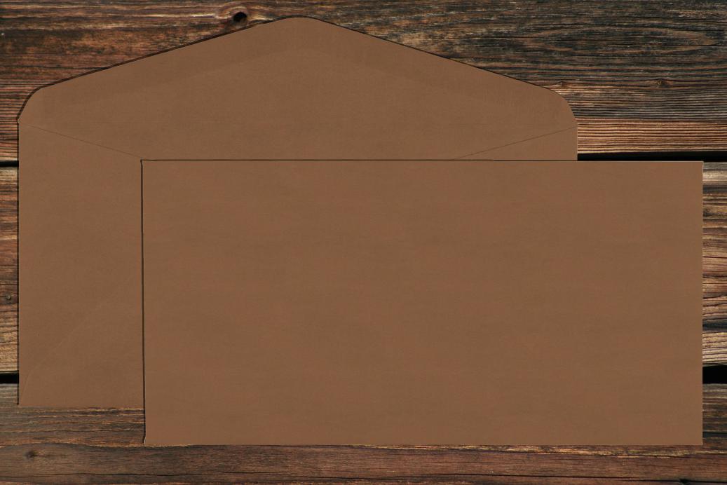 Briefhüllen DL 110x220 mm Nassklebend Braun 120 g/qm